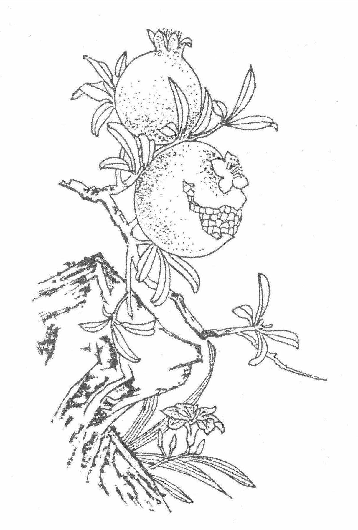 宜男多子-吉祥物-图片