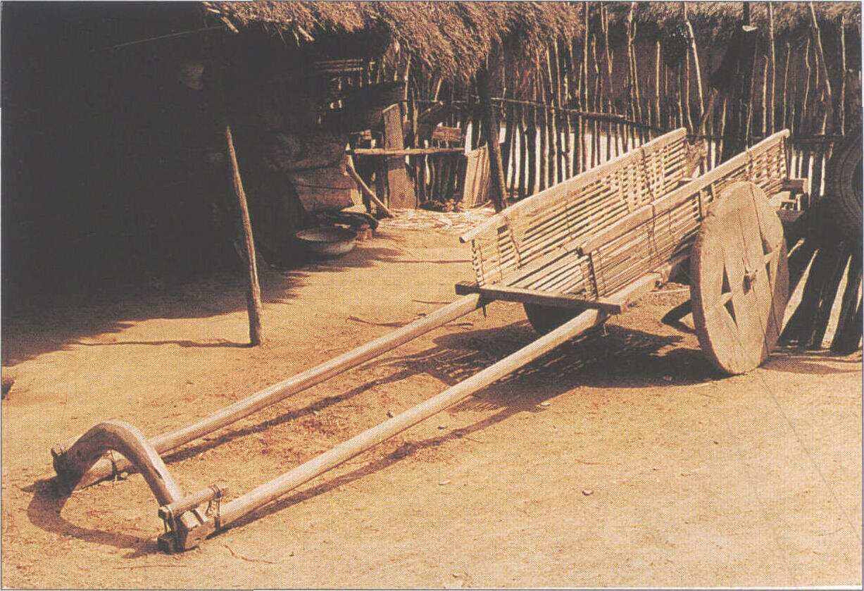 图片 中华农器 正文 云南省一些地区农民使用的木轮牛车.