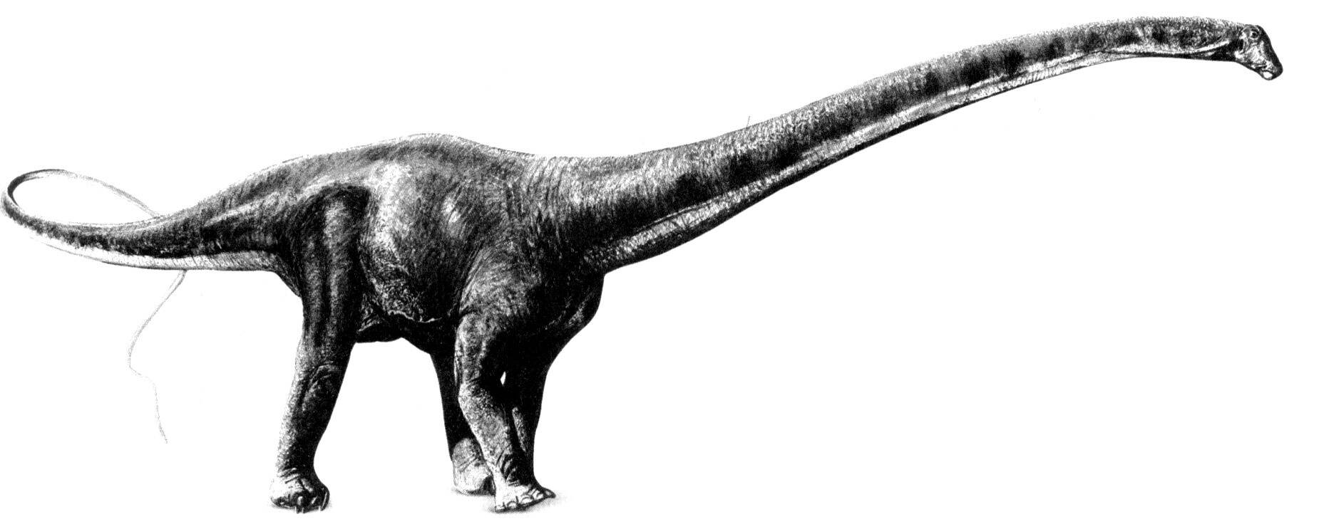 体形最大的恐龙