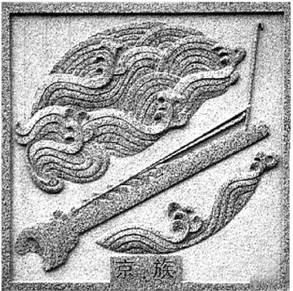 第五节 族徽与标志