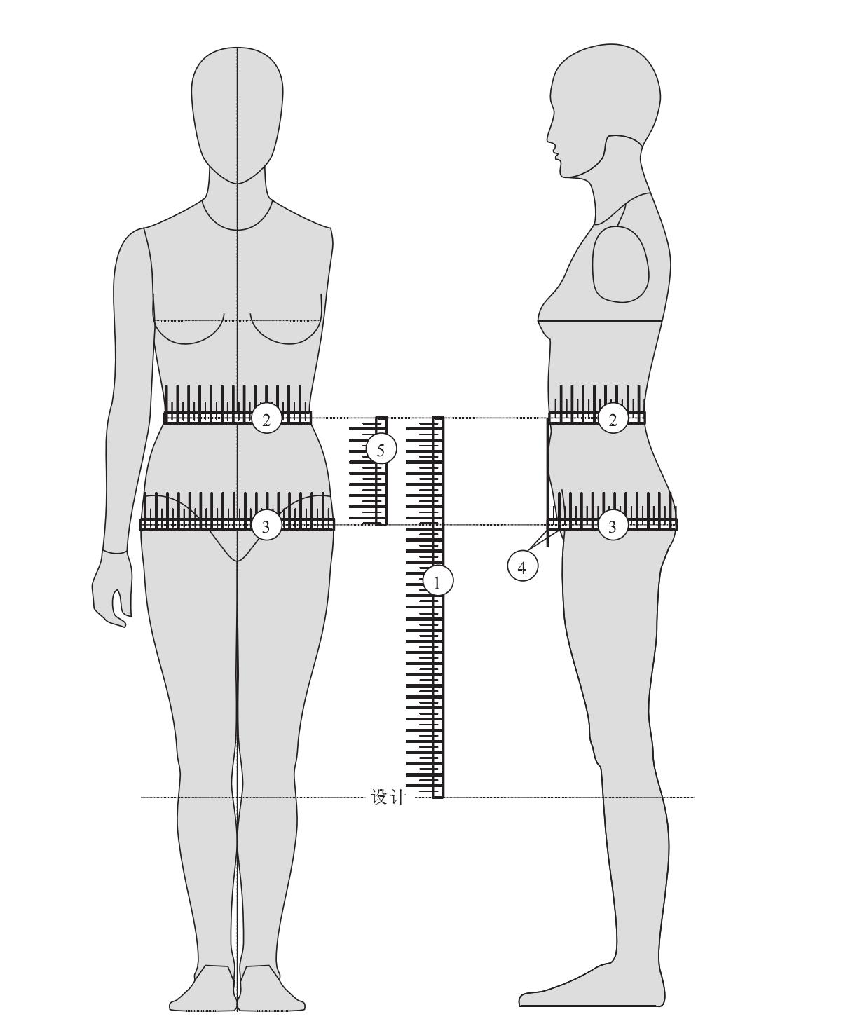 第一节 半腰裙造型涉及的体型部位