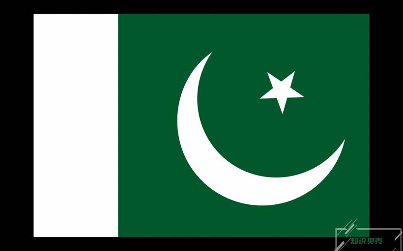 巴基斯坦国旗.jpg